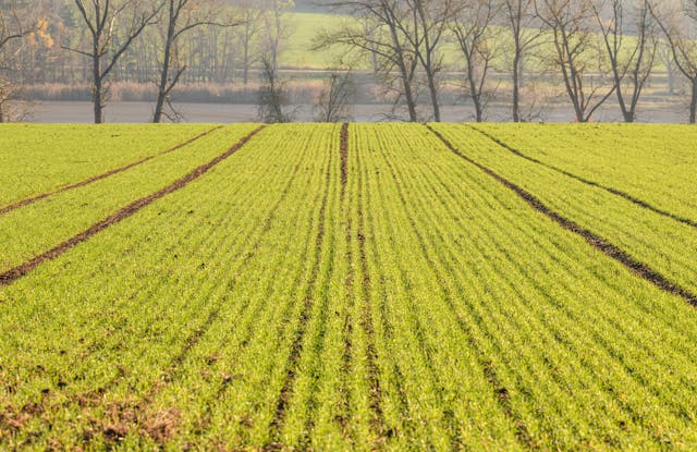 Landwirtschaft Drohnenaufnahme